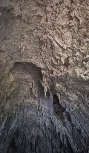 Pracht van de natuur tussen de Vercors-grot en de waterval - Yann - 9