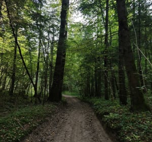 Trasa wokół jeziora Jaczno - Paweł - 3