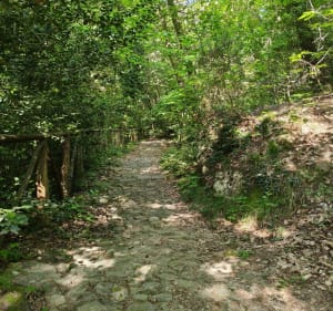 Ascension du Monte Caggio - Gilles - 4