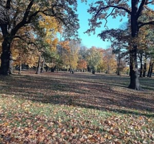 Park Miejski  w Skierniewiach - Tomasz - 3