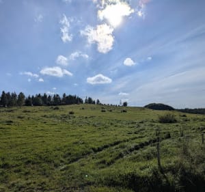Jonkowo - Łomy - Rezerwat Kamienna Góra - Jonkowo - Stanisław - 2