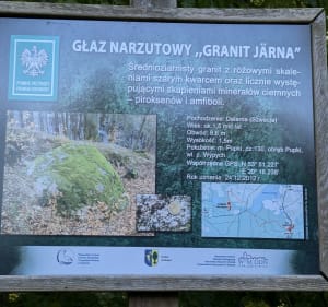 Jonkowo - Łomy - Rezerwat Kamienna Góra - Jonkowo - Stanisław - 3