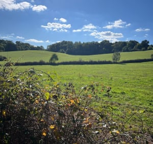 Circuit de Chateaufort - Jean-Paul  - 4
