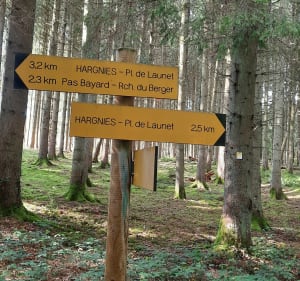 Randonnée dans la forêt communale  de Hargnies - jean-pierre - 2