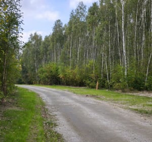 Strzeszyn Grecki - Marysia - 2