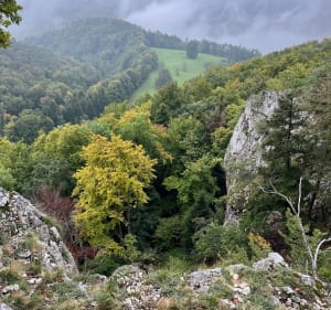 Boucle tour Rämelturm et ruines du château de Alt Biederthal - Seph - 4
