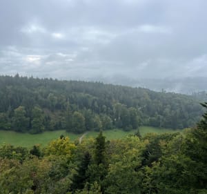 Boucle tour Rämelturm et ruines du château de Alt Biederthal - Seph - 5