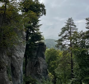 Boucle tour Rämelturm et ruines du château de Alt Biederthal - Seph - 2