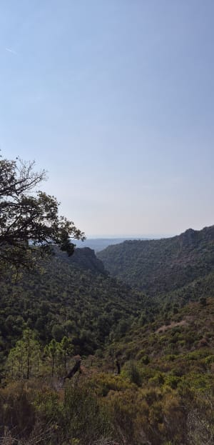 Balade dans L'Esterel, depuis Saint-Raphaël, par le carrefour de Roche Noire - MANUEL - 7