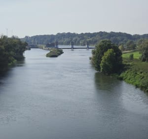 Gogolin - pałac Rogów Opolski - Krzysztof - 2