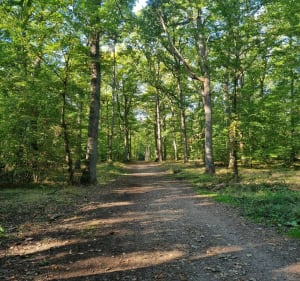 Boucle de la gare d'Evreux, nouvelle passerelle, forêt, village de la forêt - Doriane - 3