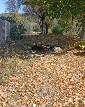 Randonnée à Saint-Julien-les-Rosiers, par Arbousse - Celine - 6