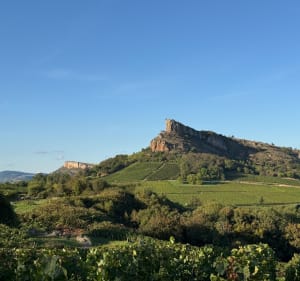 Entre Mont de Pouilly et la Roche de Solutré - VIRGINIE - 3