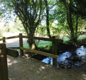 Entre Plougastel et Le Relecq-Kerhuon - Plougastel-Daoulas - 5