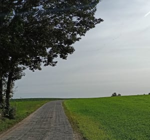 Staniszewskie Błota i Rzym - Arkadiusz - 4