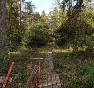Staniszewskie Błota i Rzym - Arkadiusz - 3
