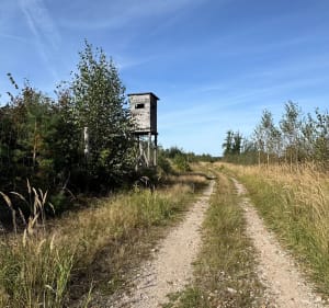 Gniezno, Gołąbki, Gniezno - Paulina - 3