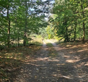 Bukowica rezerwat - Alicja - 2