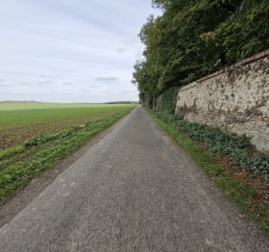 Petit parcours en forêt de Néron - FLORIAN - 3