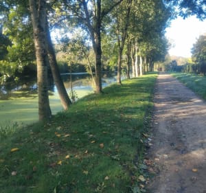 Mareuil sur lay & château guibert - Mareuil-sur-Lay-Dissais - 2