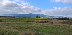 Balade dans la campagne de Saint-Andéol - Murielle - 2