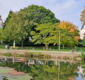 Découverte du Centre de Romorantin-Lanthenay - Sabrina - 3