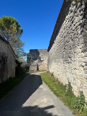 Saint-Pastour, une bastide de hauteur - Patricia - 4