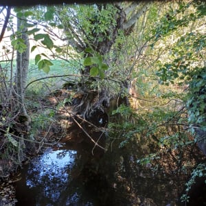 Le Bourdet, balade bocagère et sentier de découverte - Jenny - 2