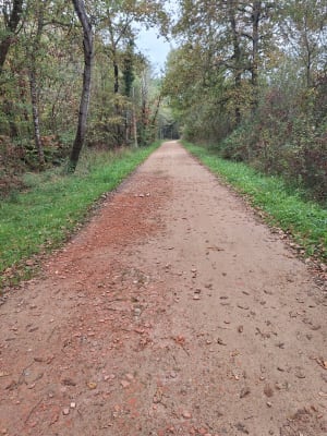 Balade autour de Mazerolles - FREDERIC - 5