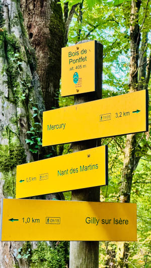 Balade chargée d'histoires à Mercury et à Gilly-sur-Isère - Laurence - 6