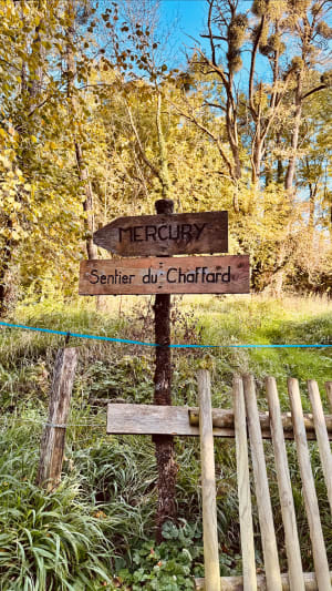 Balade chargée d'histoires à Mercury et à Gilly-sur-Isère - Laurence - 2