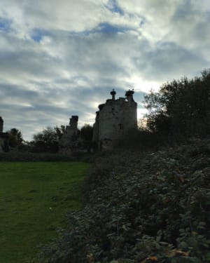 La balade des cigognes Saint-Fromond - Grégory - 4