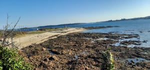 Pointe de Kerpenhir - dominique - 4