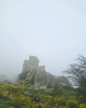 Puig de Santa Cristau depuis Montesquieu-des-Albères - Emy - 4