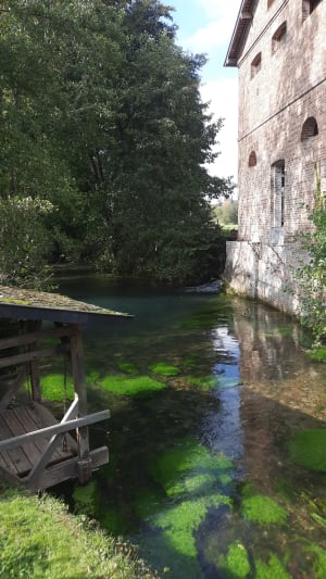 Livet sur Authou - Moulin et lavoirs - Virginie - 6