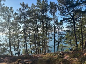 Wandeling rond de Kaap van de Geit in Crozon - Juliette - 7