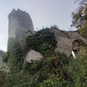 Ruine du château de Jasseron - anais - 7