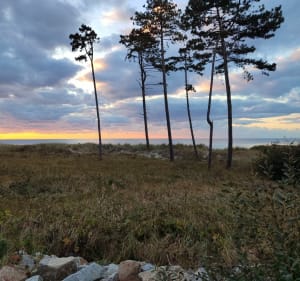 Mierzeja Kopań - Krzysztof - 2