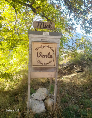 Mont Bauroux depuis le Pas de la Clue - charlotte - 6