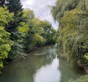 Promenade dans la pleine les bois et le long du Liéton - Yoann - 5