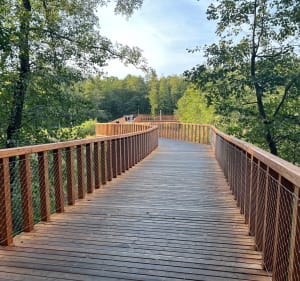 Velo Przemszą i Chechło - Marcin - 4