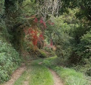 Balade autour de Solutré - Estelle - 2