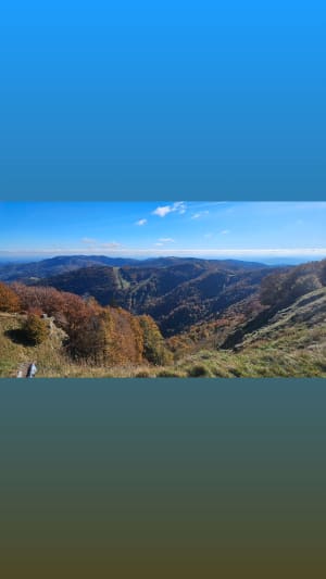 Ballon D'Alsace et son paysage à couper le souffle - JOELLE - 3