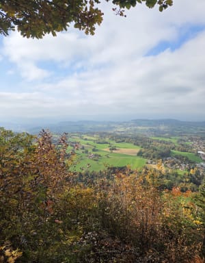 Balade dans les bois de Quintal et cueillette de châtaignes - Jean Charles - 5