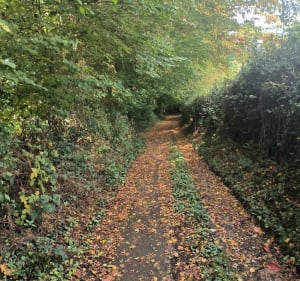 Petite balade tranquille à Bosc-le-Hard - Stéphane - 3