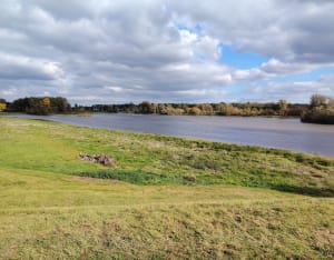Balade en bord de Loire à Guilly - Patrick - 6