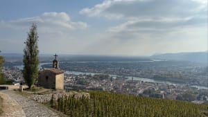 Balade entre Crozes-Hermitage et le belvédère Pierre-Aiguille - Monique - 4