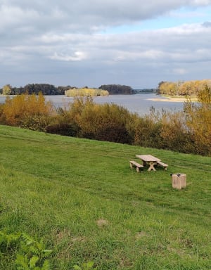 Balade en bord de Loire à Guilly - Patrick - 10