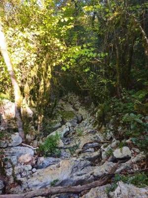 Prachtige kloof van Arcs en kloven van Lamalou - Léna - 3