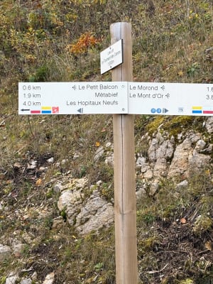 Tour du Mont d'Or et pique-nique panoramique - Marie - 7